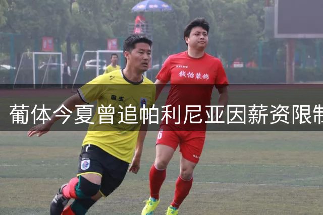 葡体今夏曾追帕利尼亚因薪资限制作罢 球员终投本菲卡